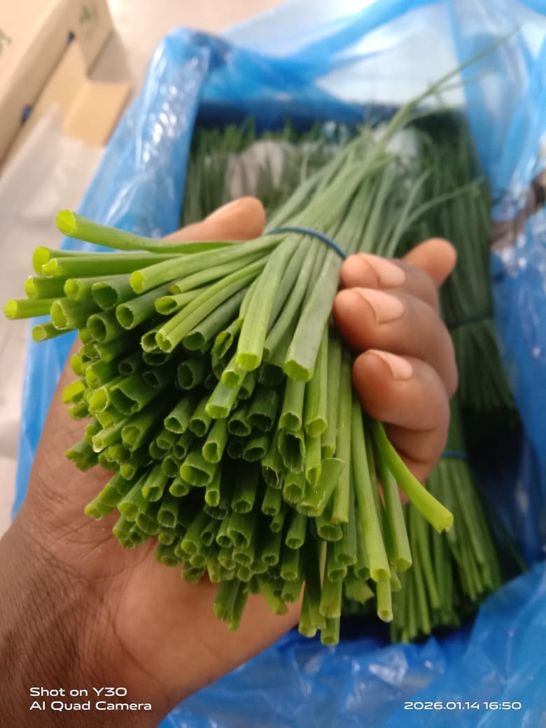 Sustainable Agriculture